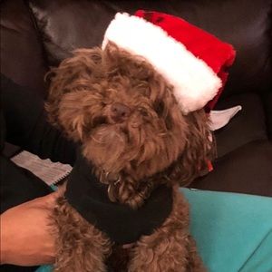 Meet your Posher, Venesha